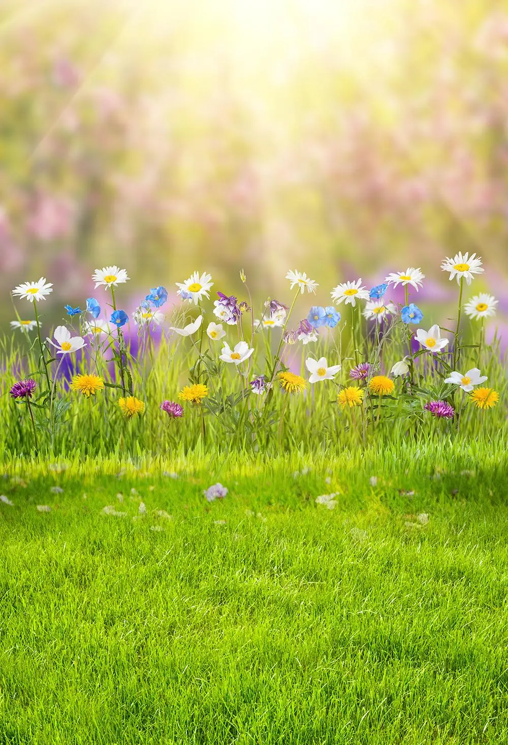 Весенние солнечные цветы Пасхальный Луг Фото фоны для новорожденных Фотография