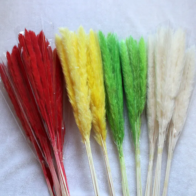

60cm Dried Pampas Grass Reed Flower Bouquet Natural Plants Home Decor Wedding Party Props Bulrush Flores Preservadas Decoration