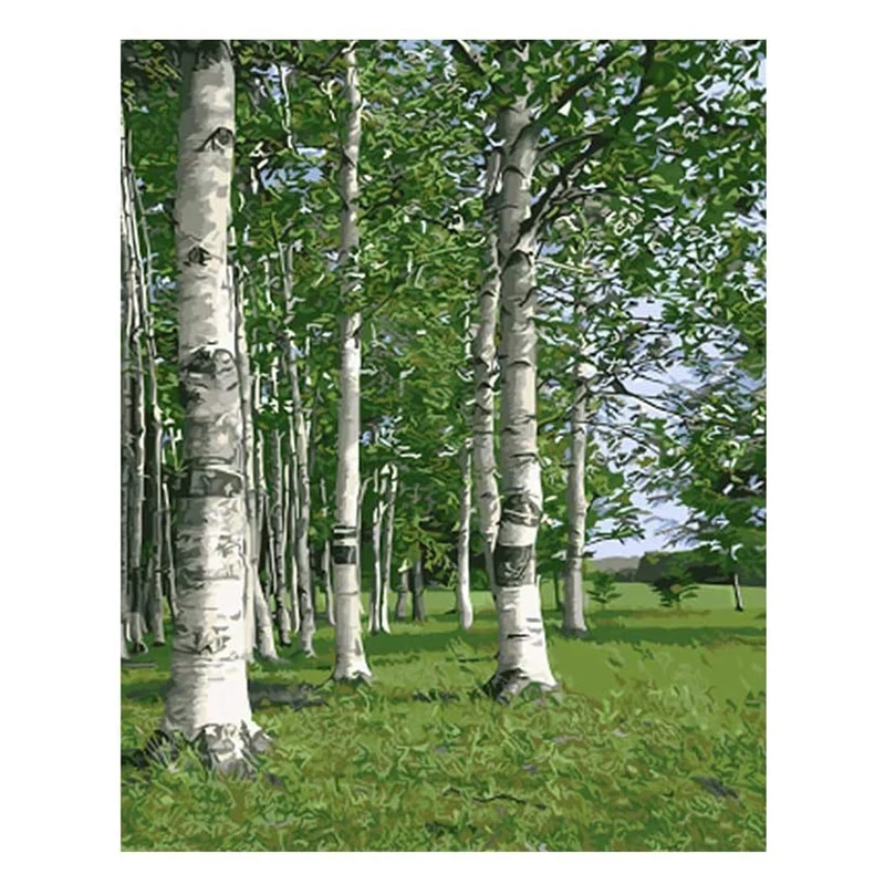 Краска по номерам для взрослых и детей DIY Рисование на холсте краска начинающих