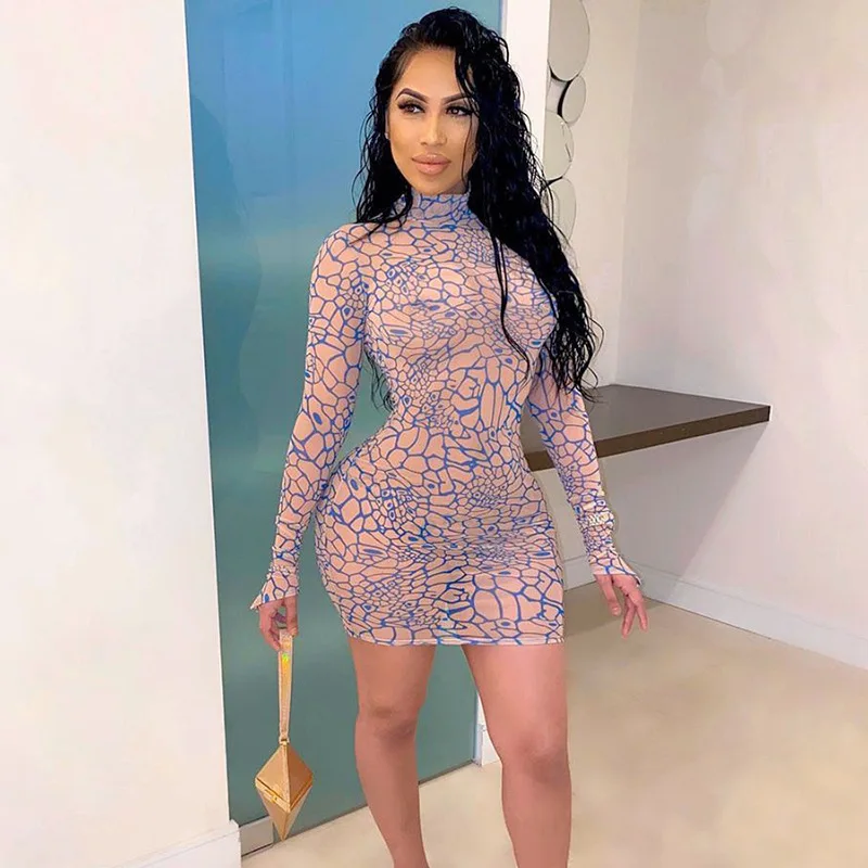 

Pattern Print Mini Dresses For Women Sheer Mesh Sexy See Through Long Sleeve Fall Dress Skinny Elastic Bodycon Party Club Sexy