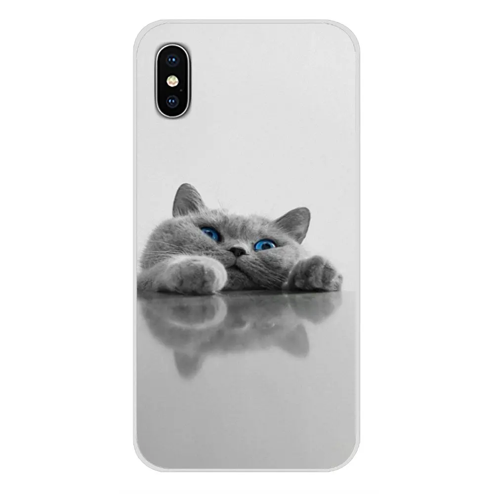 images 6 Для Apple IPhone X XR XS 11Pro MAX 4S 5s 5C SE 6S 7 8 Plus ipod touch 5 6 Британский короткошерстный Кот Топ дизайн силиконовые чехлы - Цвет: images 6