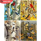 HUACAN краска по номеру птица DIY картинки по номерам наборы деревьев ручная краска ed рисование на холсте подарок домашний декор