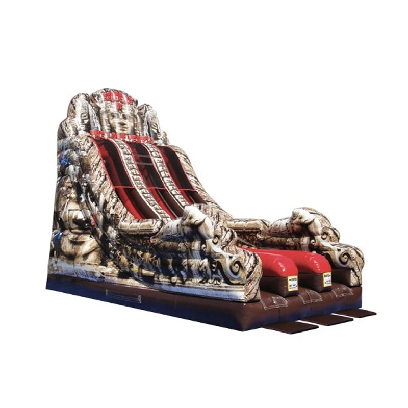 

Outdoor Inflatable Slide Double Lanes Bounce Slide Sports Entertainment Slide with Pattern