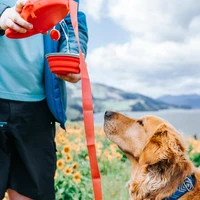 2021 new arrvial multifunction portable nylon pet dog leash with built in water bottle bowl waste bag dispenser