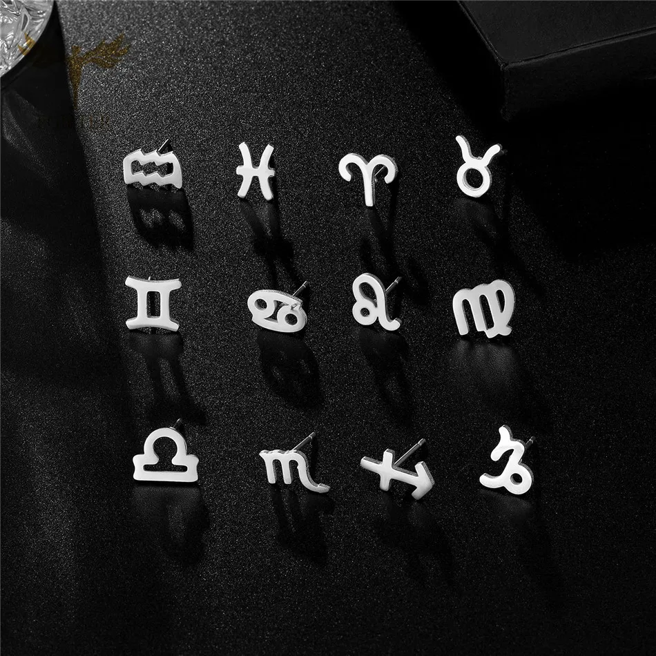 

Mysterious Twelve Constellations Aquarius Earrings Women's Men's Lover Earring 12 Zodiac Earrings Trendy Stainless Steel Jewelry
