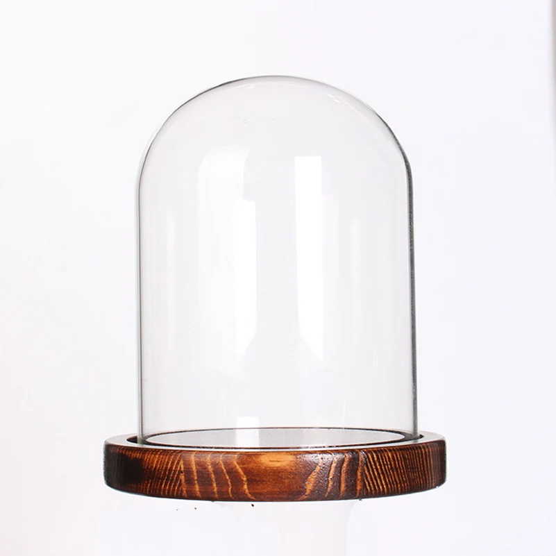 Стеклянный купол витрина для консервированных цветов баночка колокольчиков с