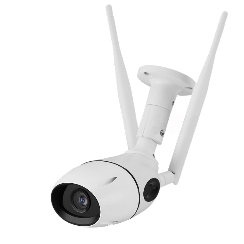 

Video Surveillance