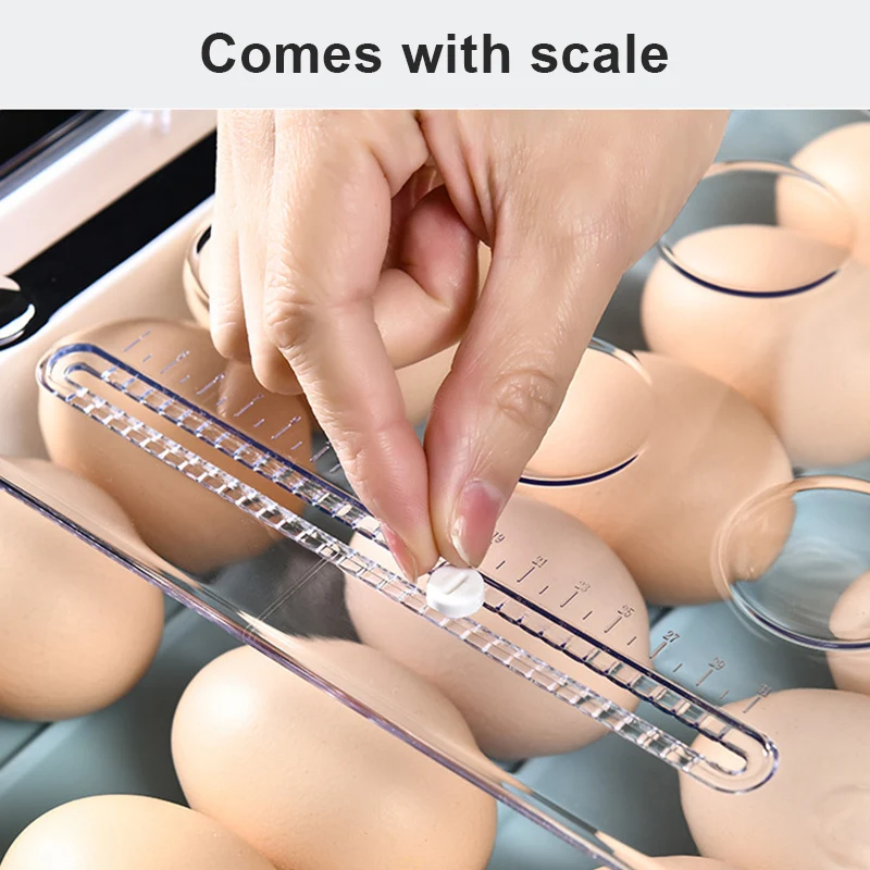 

Egg Storage Box Single Layer with Lid Large Capacity Plastic Transparent Egg Case FAS6
