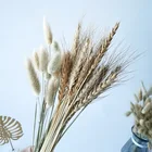 20 штук в режиме реального пшеницы цветок уха натуральные сухие цветы для украшения свадьбы, дома, вечерние украшения для самодельного изготовления Кролик хвост трава пшеницы букет
