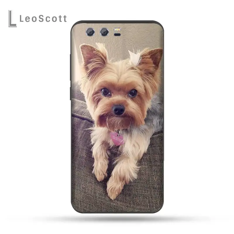 

Mini Yorkshire Terrier Dog Phone Case For Huawei Honor view 7a5.45inch 7c5.7inch 8x 8a 8c 9 9x 10 20 10i 20i lite pro