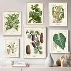 Винтажный постер с изображением диких растений, ботанических цветов, постер для изучения гостиной, Картина на холсте, анатомическая картина, эстетический домашний декор