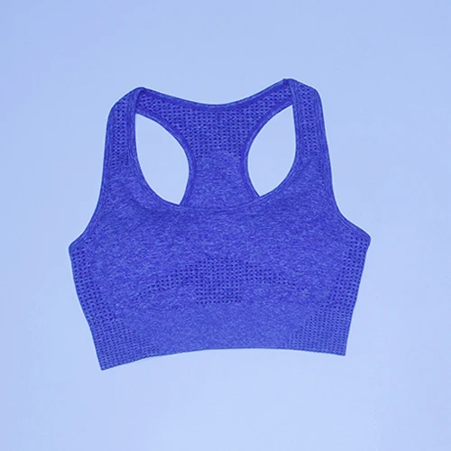 Purple bra Vital бесшовный спортивный костюм, спортивный комплект, женская одежда для тренировок, бесшовные леггинсы, спортивный бюстгальтер пуш-ап, укороченный топ с длинными рукавами, комплект из 3 предметов для йоги - Цвет: Purple bra