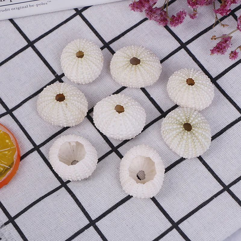 

2Pcs 3-4 CM Natural Small Pink Sea Urchin Shell Natural Shell Conch Beach Wedding Decoration Coastal Home Decoration