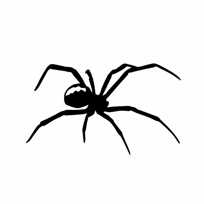

Cool Spider Car Sticker PVC Body Window Decoration Motorcycle Auto Accessories Fashion Animal Waterproof Sunscreen Decal