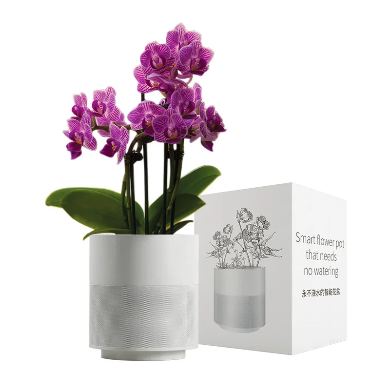 Ваза для растений цветочный горшок настольное растение украшение дома бонсай