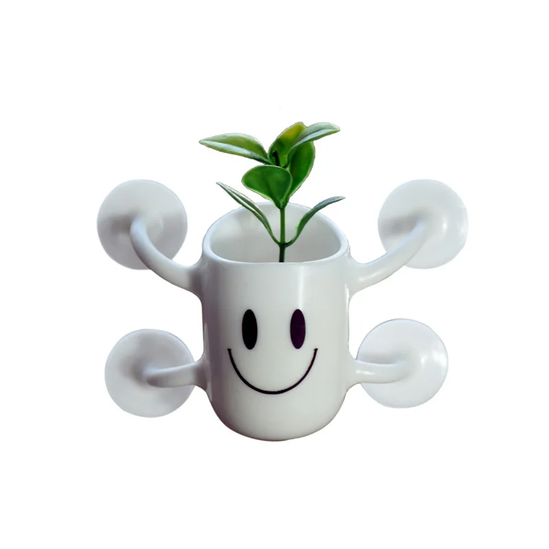 Маленький мясистый цветочный горшок креативный стеклянный настенный простой на