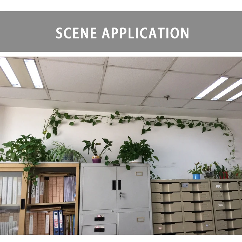 20/50 шт домашнее садовое растение лозы завязанная Пряжка фиксированный Крепежный