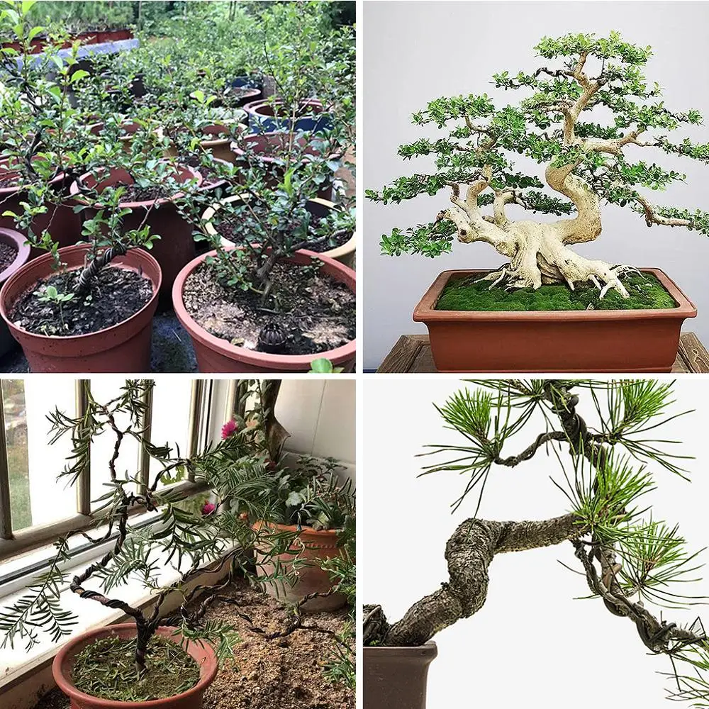 3 роллы анодированный алюминиевый сплав черный провод для бонсай Ремесло Сад 1 0