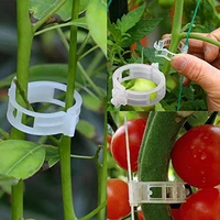 50pcs reusable plastic plant clips supports connects protection grafting fixing tool gardening supplies for tomato vegetabl