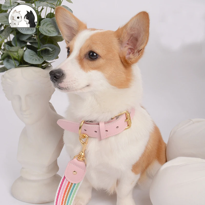 

Ошейник для собак, Плетеный ремень из натуральной кожи, для прогулок и прогулок