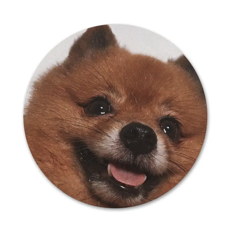 Значки для собак шпильки значки металлические фотографий|Значки| |