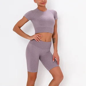 Женский бесшовный спортивный костюм, комплект из 2 предметов, женский укороченный топ и шорты, комплект одежды для фитнеса, тренажерного зала, растягивающиеся комплекты для йоги, женские тренировочные костюмы
