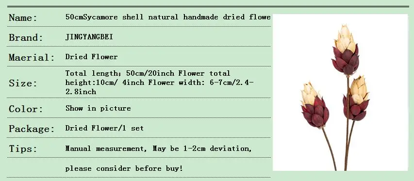 Sycamore shell, Натуральные сушеные цветы ручной работы, украшение для дома, гостиной, цветочное украшение, Цветочная композиция, вечный цветок