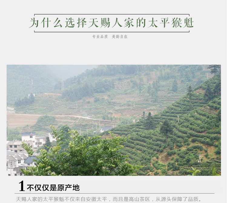 250g 500g Green Tea New Tea Spring Tea Alpine Tea Taiping Monkey Kui Tea, a specialty of Huangshan, Anhui Province