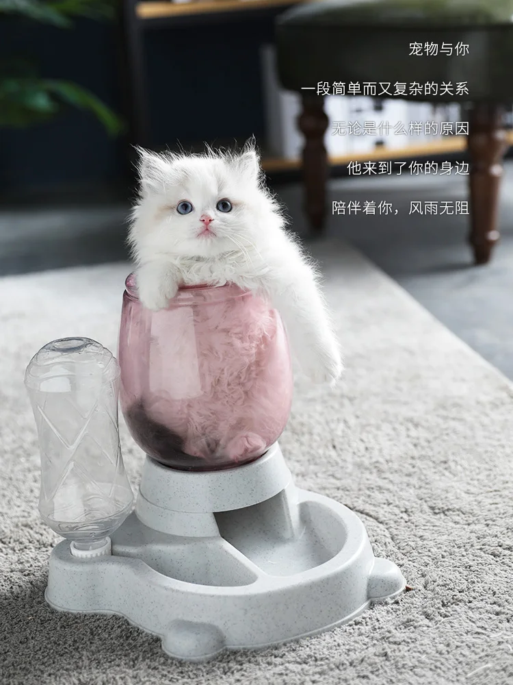 

Cat Water Fountain Seringue Plastique Automatic Pet Feeder Dog Bowl Cat Drinking Fountain Miski Dla Kota Pet Water JJ60ZDWS