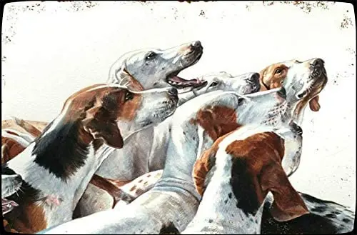 

Hunting Fox Hound Metal Tin Sign Unique Home Decor Vintage Indoor Wall Decorative Painting 12x16 inch Decorative Wall Tin Signs