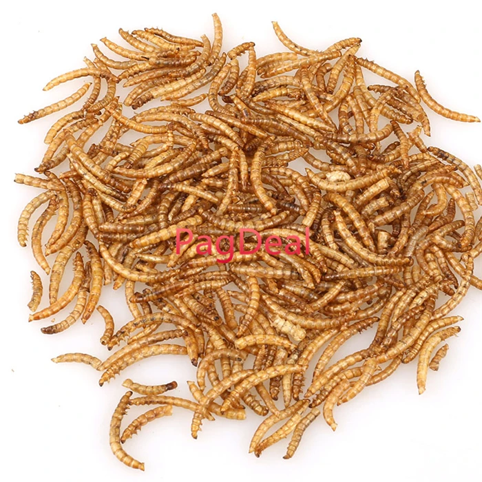 100 г Сушеные Mealworms для аквариума корма рыб рептилия черепаха хомяк дикая птица