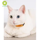 Алмазная картина белая кошка полная квадратная картинка с животными для вышивки со стразами Стразы Вышивка крестом Алмазная мозаика ручная работа