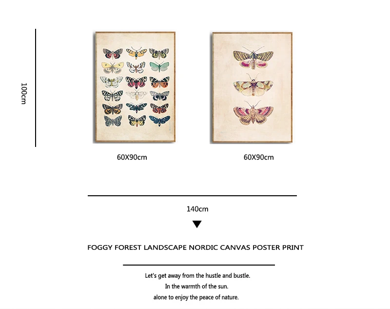 Vintage Butterfly Prints Insect Nature Kids Education Poster Nursery Wall Art Pictures Canvas Painting Children Room Decoration |