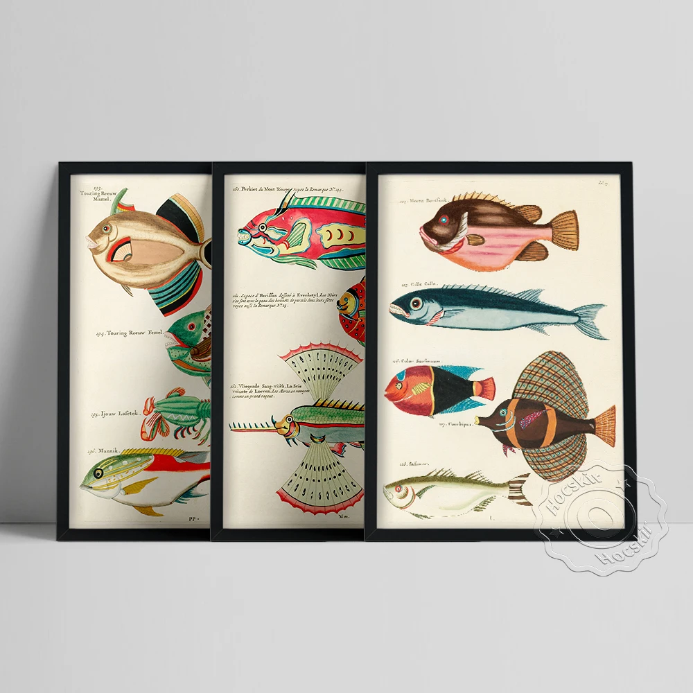 

Louis Renard World Fish Prints, Vintage Fishing Wall Art, Whimsical Fish Marine Life Illustration, Water Color Sea Fisk Poster