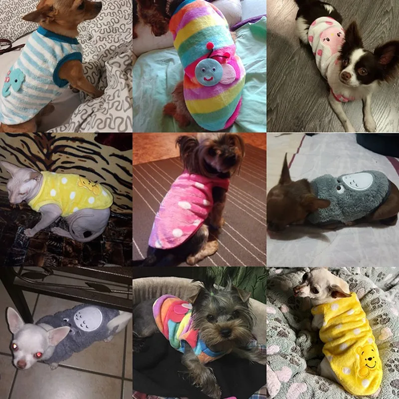 Осенне-зимние Мультяшные куртки для щенков кошек куртка теплые флисовые костюмы
