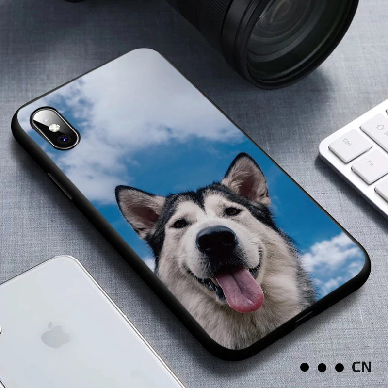 Чехол для телефона с изображением собаки хаски iPhone 11 Pro Max X XS XR 8 7 6 5 s Plus мягкий