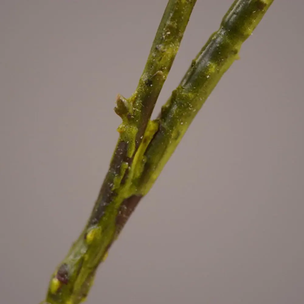 Искусственный лимон моделирование фруктовое дерево ветка желтый пластик