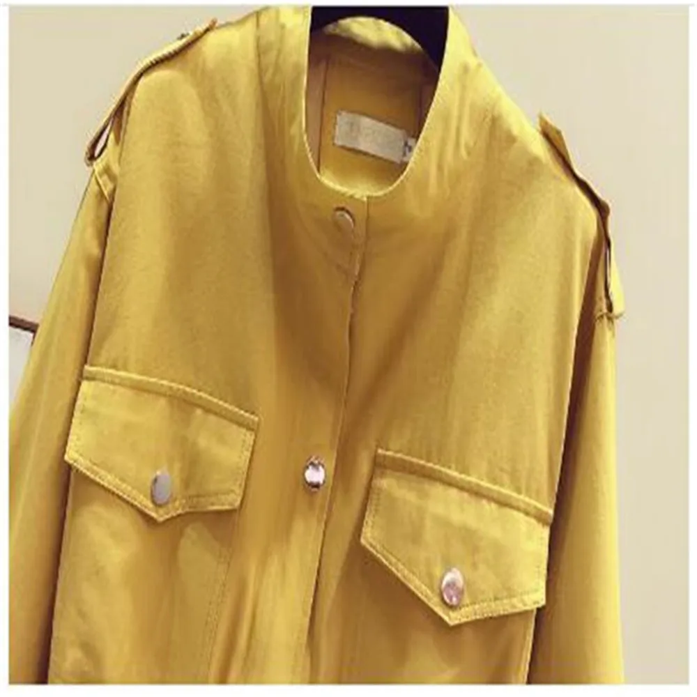 

2020 Spring Autumn New Women's Jackets All-Match Windbreaker Short Casual Waist Coat Clothes