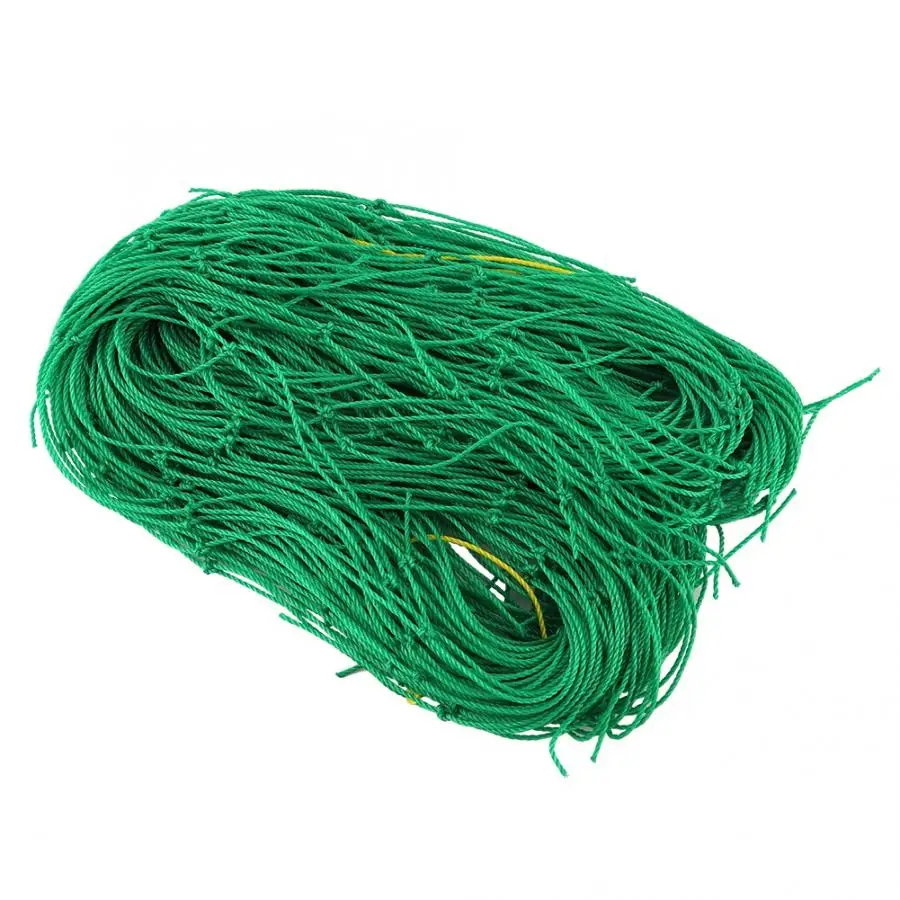 Растения гидропоники садовые растения вьющиеся растут поддержка чистая