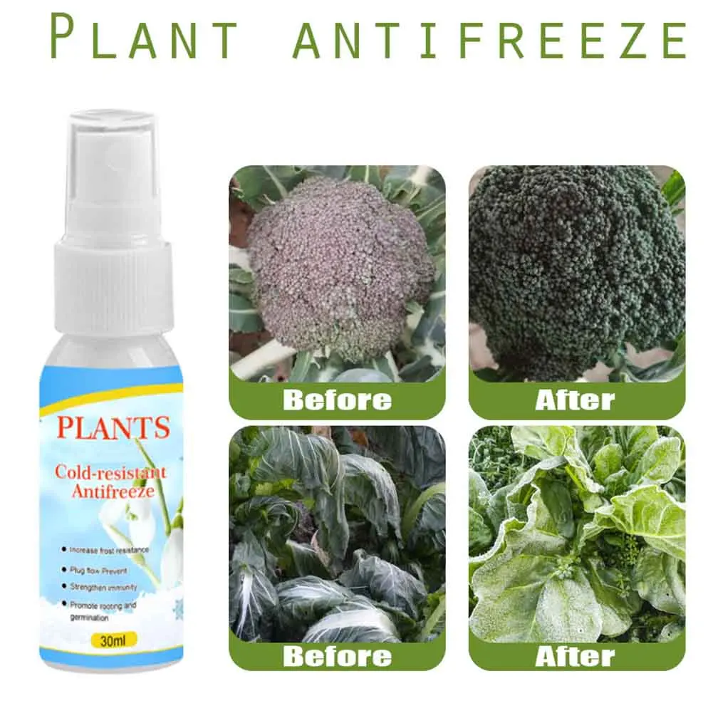 Фрукты деревья завод антифриз риса фермы агент кедр практичные аксессуары двор