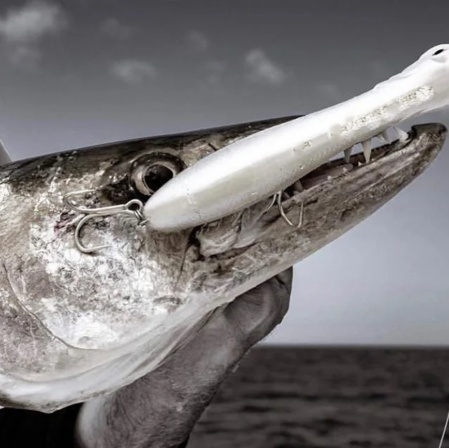 Рыболовная приманка Hunthouse lw602 GT Predator SG Panicbait для морской рыбалки в соленой воде