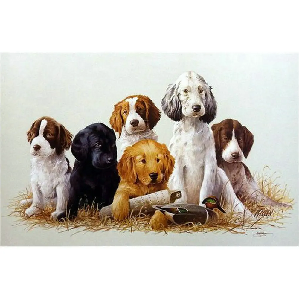 

DIY 5d diamond paintings cross stitch Animal dog Full Diamond embroidery Rhinestone Crafts home Decorative art indoor Handmade