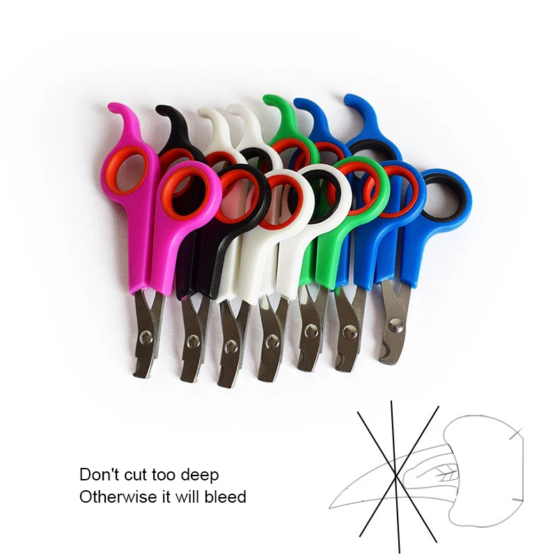 Ножницы из нержавеющей стали для питомцев маленькая собака и кошка клиппер