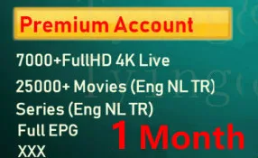 1 Month ESUNTV NoBox ESUNTV X96Mini FHD Нидерланды Великобритания Турецкая шведская IPTV приставка Испания Италия Германия нам CA XXX 7000 live 26000 VOD серии HD EPG поддержка - Цвет: 1 Month ESUNTV NoBox