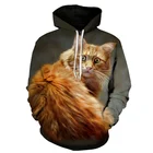 Толстовка МужскаяЖенская с объемным рисунком оранжевого кота, Модный милый свитшот в стиле Харадзюку, повседневная одежда, весна-осень