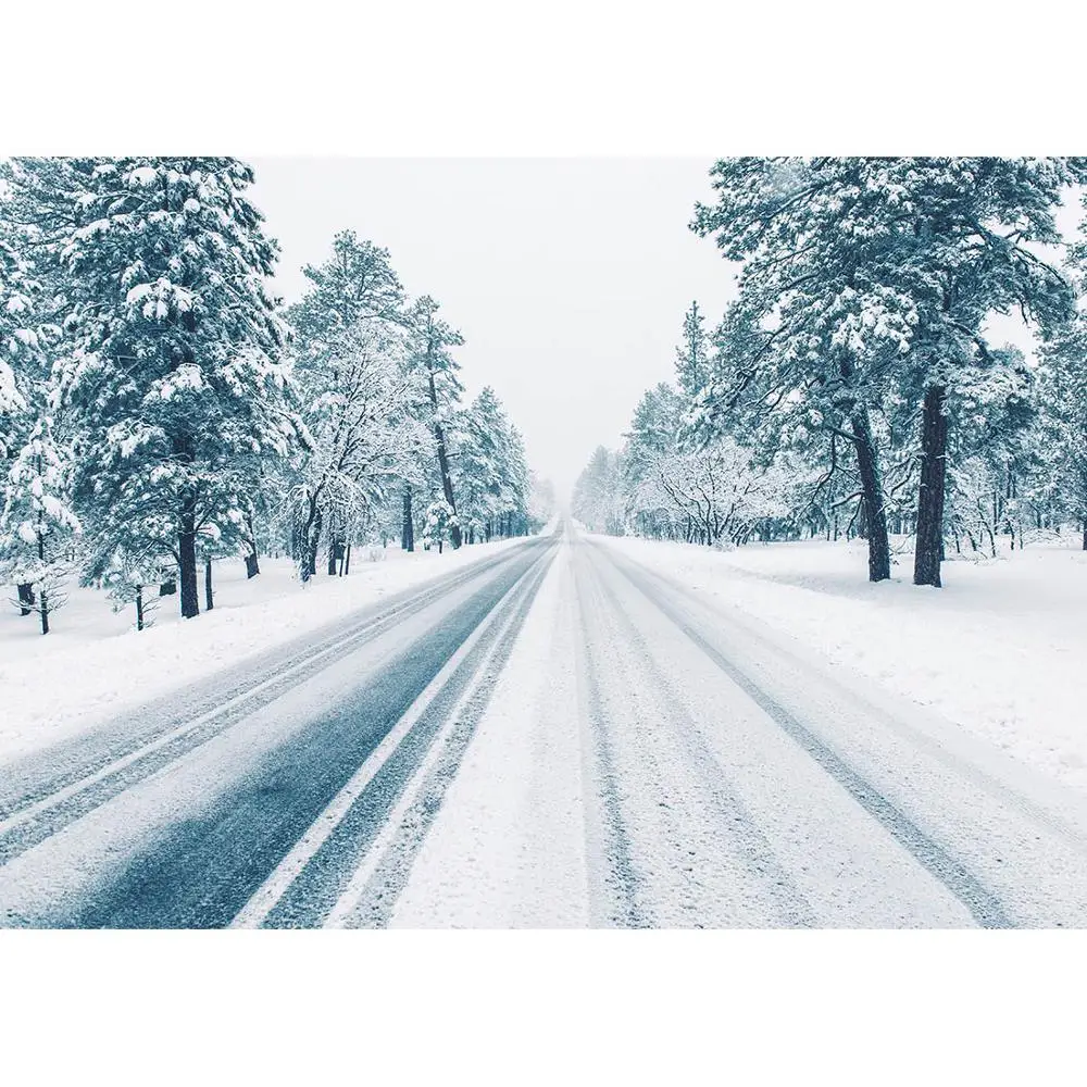 Фон для детской фотосъемки с изображением снежного дерева дороги зимы реквизит