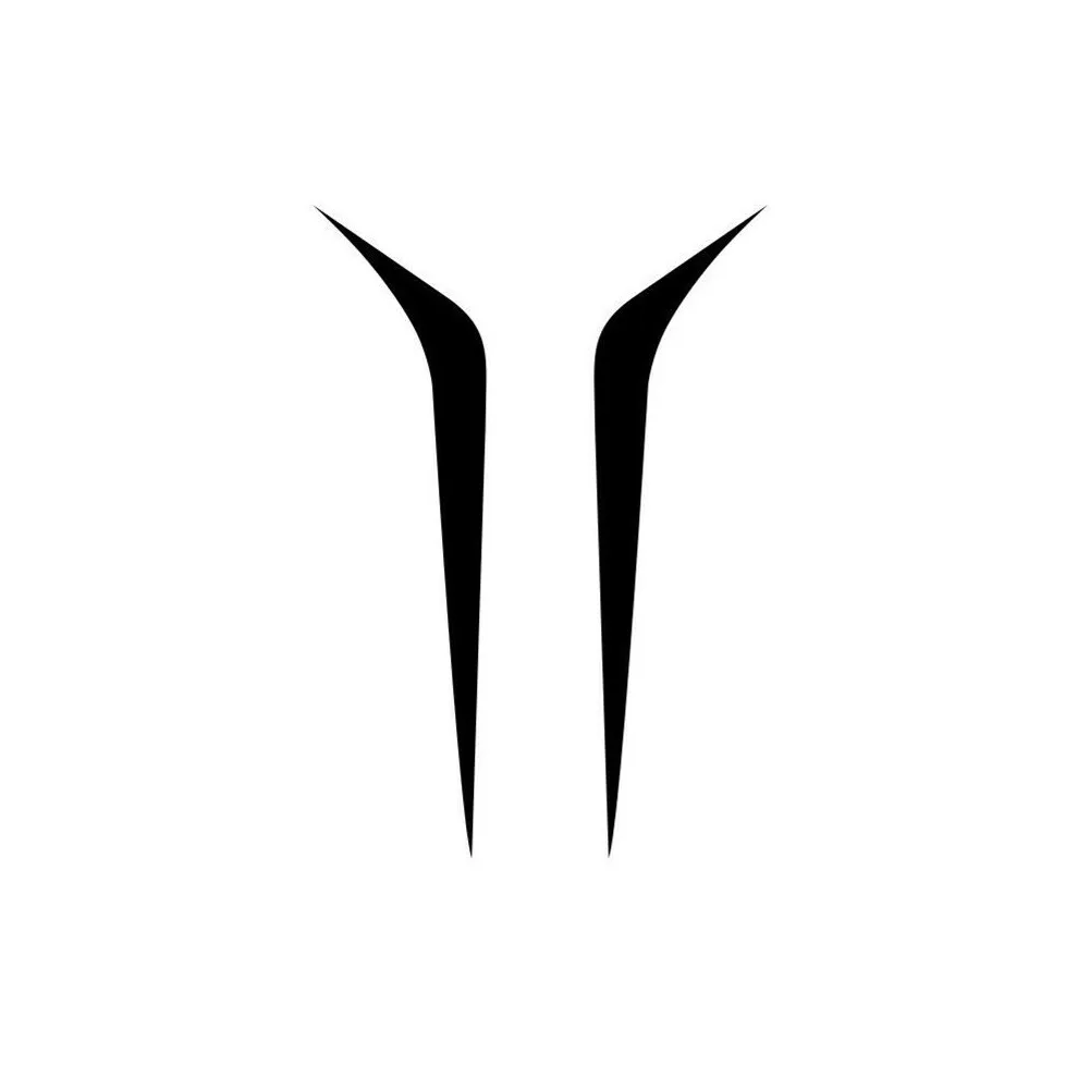 

2X Car Hood Stripes Decal Vinyl Stickers Trim Black Sticker Exterior Decoration Car-styling Body Side Decals For SUV Truck