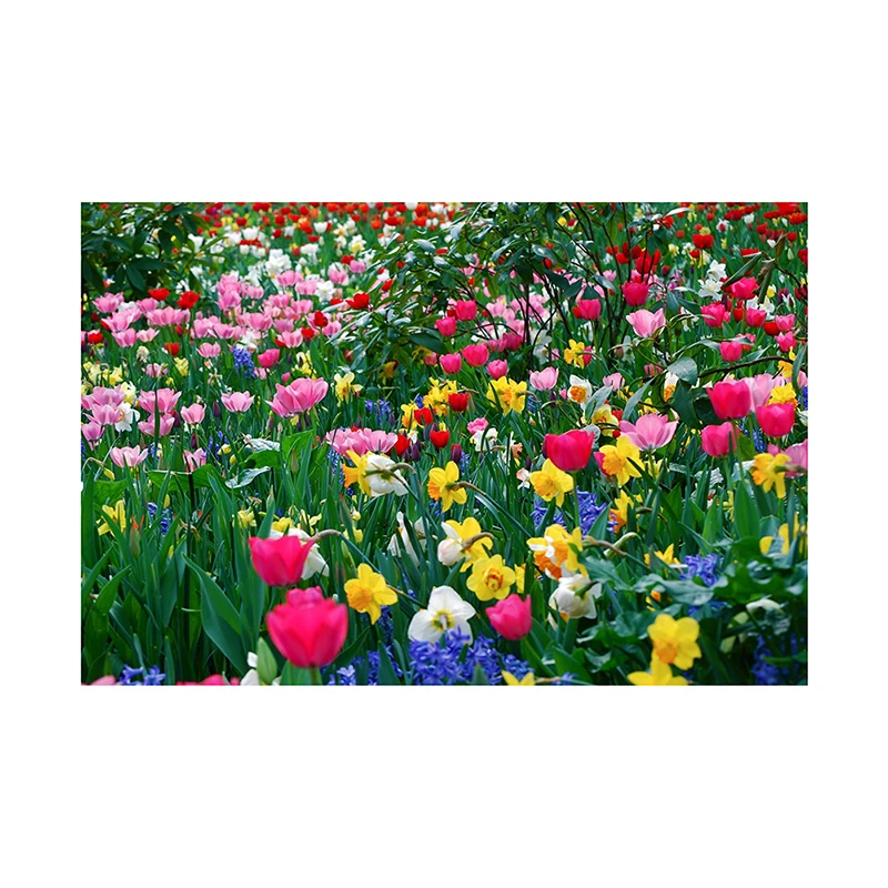 150/225 см задний фон для фотостудии с изображением леса бумажный весенний вечерние