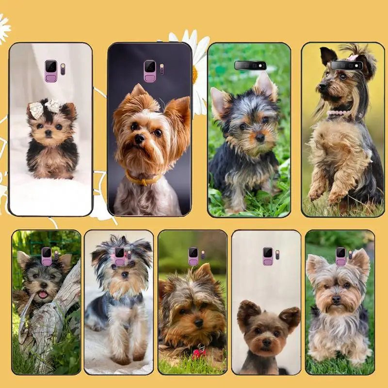 

Yorkshire terrier dog cute animal Phone Case For Samsung galaxy A S note 10 7 8 9 20 30 31 40 50 51 70 71 21 s ultra plus