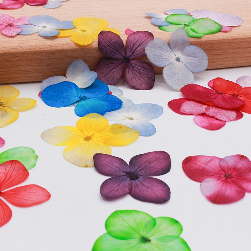 Гортензия сухой цветок DIY тиснение лепесток помпон цветы растения искусственные